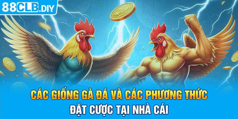 Các giống gà đá và các phương thức đặt cược tại nhà cái