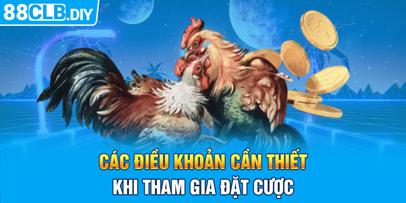 Các điều khoản cần biết khi tham gia đặt cược