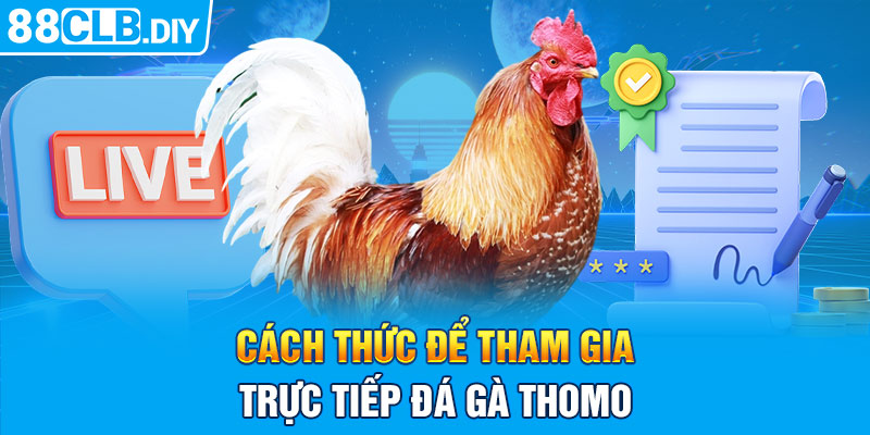 Cách thức để tham gia trực tiếp đá gà Thomo 