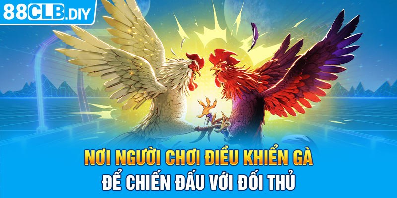 Nơi người chơi điều khiển gà để chiến đấu với đối thủ