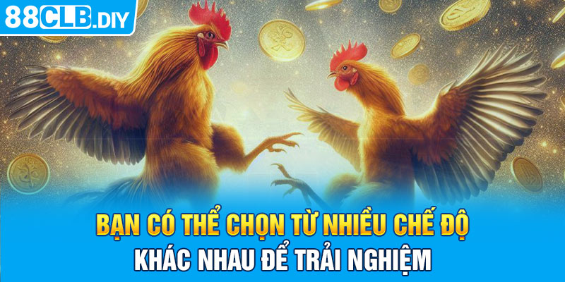 Bạn có thể chọn từ nhiều chế độ chơi khác nhau để trải nghiệm 